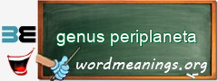 WordMeaning blackboard for genus periplaneta